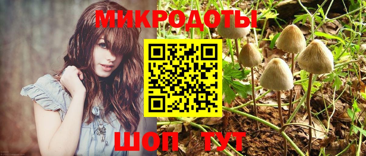 Псилоцибиновые грибы MAGIC MUSHROOMS Саяногорск